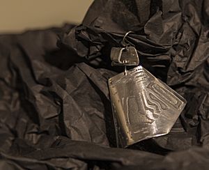 41