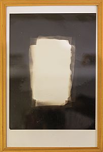 61
